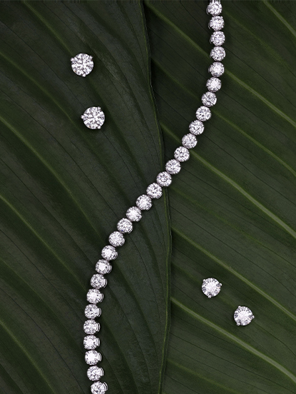 Signature Collection