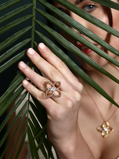The Spring Collection